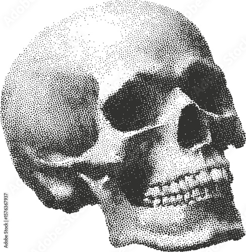 Monochrome halftone human skull illustration with dot pattern, vintage style. Vector illustration