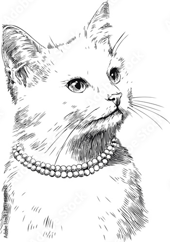 Illustration of a cat wearing a pearl necklace, elegant and detailed sketch. Vector illustration