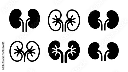 Vector art of a set of six kidney illustrations, varying in style and detail, presented on a white background