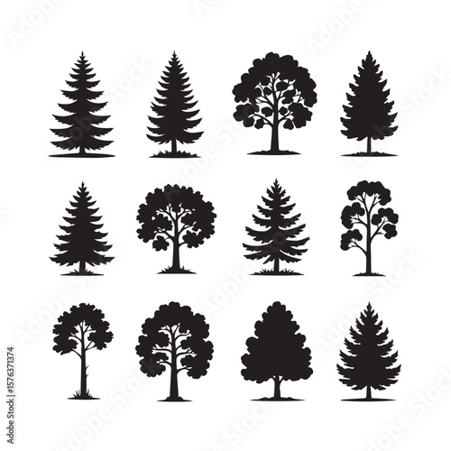 A collection of diverse tree silhouettes, including evergreen and deciduous varieties, isolated on a white background
