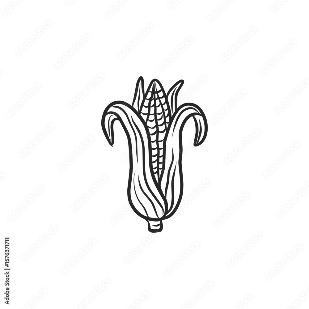 Obraz premium Hand-Drawn Black and White Corn Cob Illustration