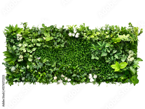 Lush green living wall with white flowers and varied leaf textures isolated on transparent background