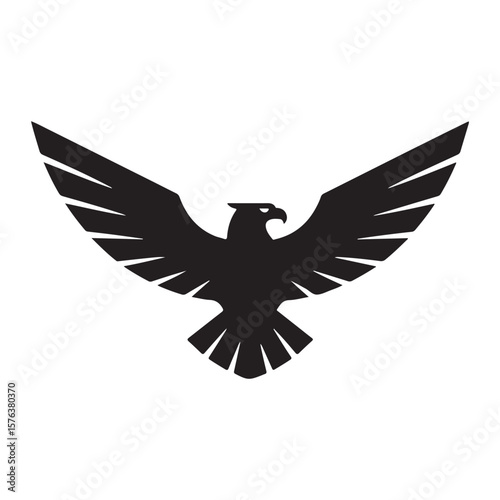 Black eagle silhouette with spread wings bird white