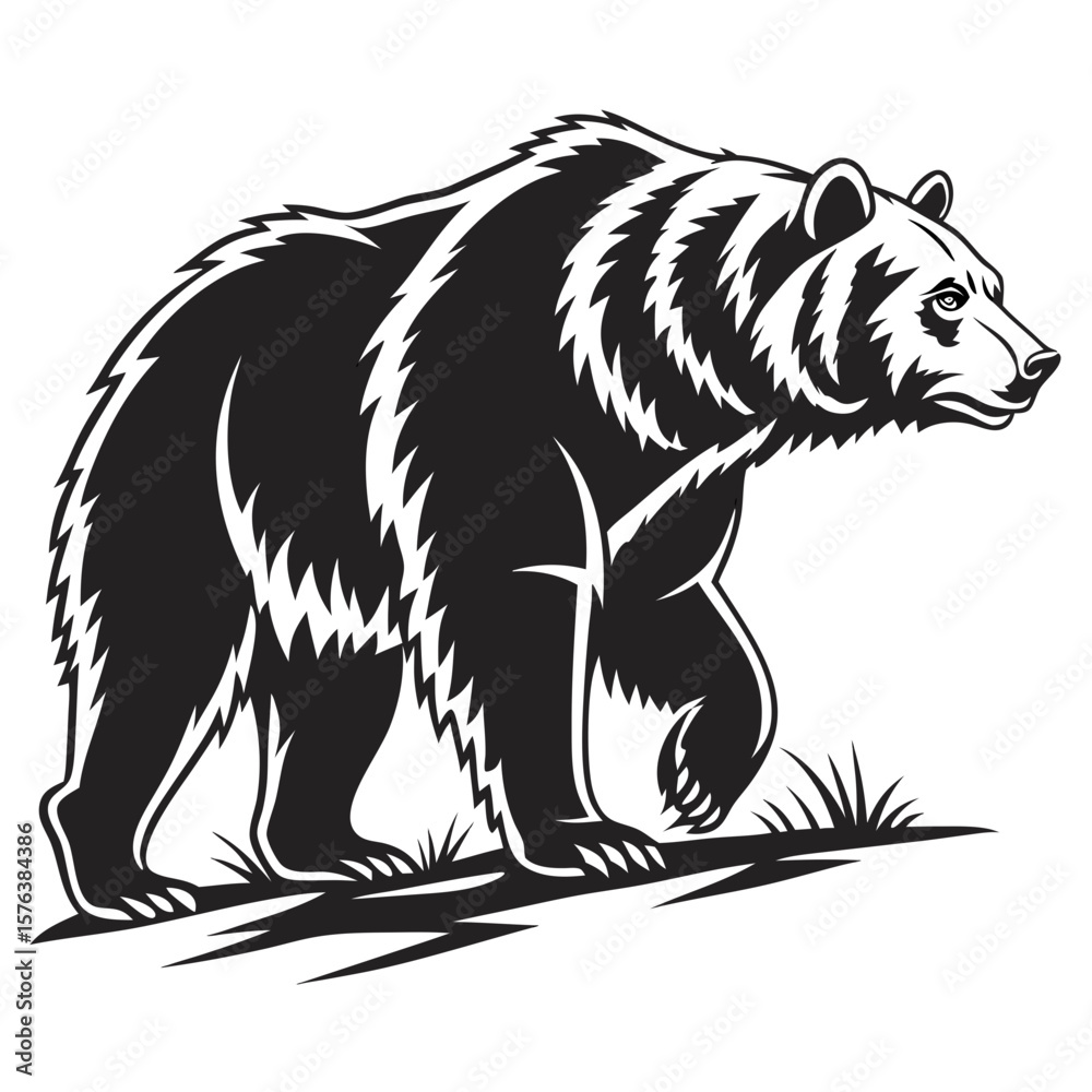 Fototapeta premium Isolated Black Silhouette of a Grizzly Bear on White Background