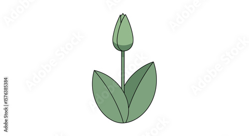 A simple cartoon illustration of a green tulip bud emerging with two broad leaves against a white background