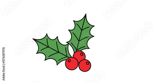 Festive holly sprig with red berries a classic symbol of winter and the holiday season celebration
