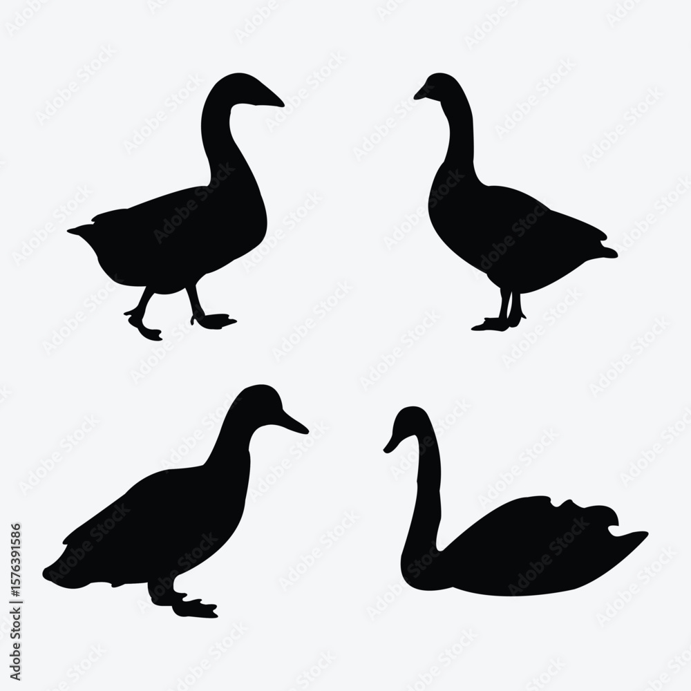 Fototapeta premium set of duck silhouettes black and white vector design