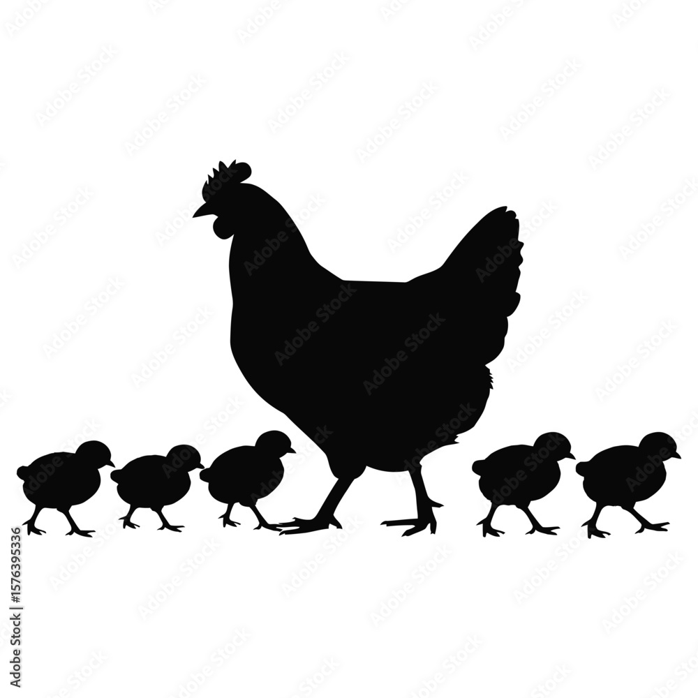 Fototapeta premium Silhouette vector of hen with chicks walking in line with simple black outline on white background