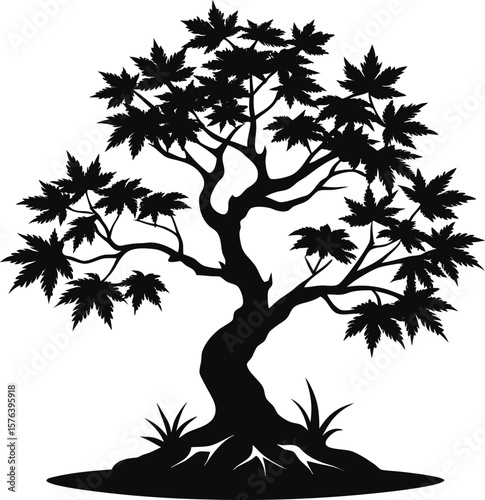 Black silhouette of a deciduous tree with broad leaves white