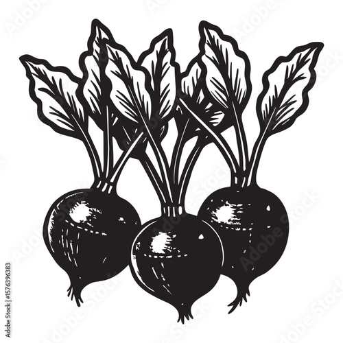 Collection of stylized radish silhouettes in various arrangements and colors