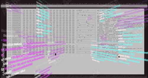 Displaying hex editor and Nmap windows at computer desktop, showing port scan and code overlays