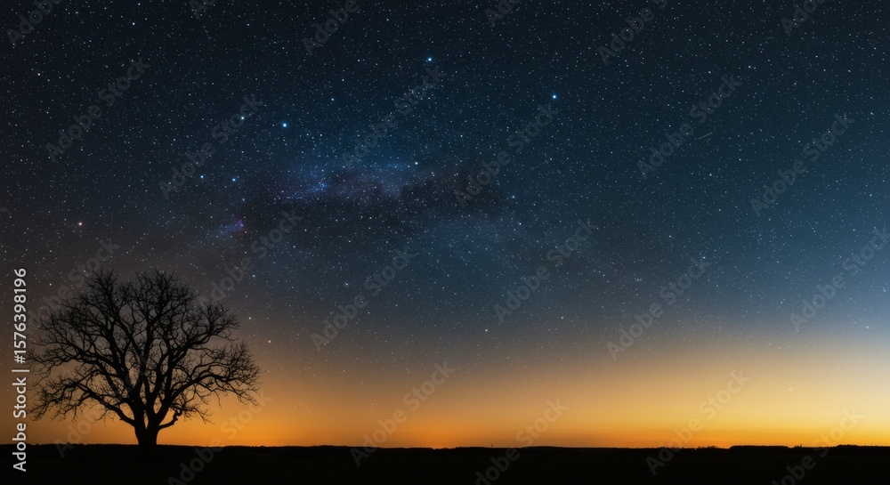 Naklejka premium Lone Tree Silhouetted Under a Starry Galaxy Sky.