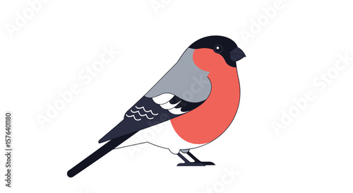 A charming bullfinch with its distinctive red breast perched gracefully on a white background