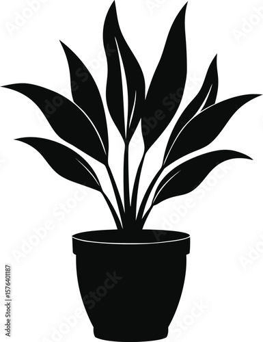 Black silhouette of a potted plant with broad leaves white
