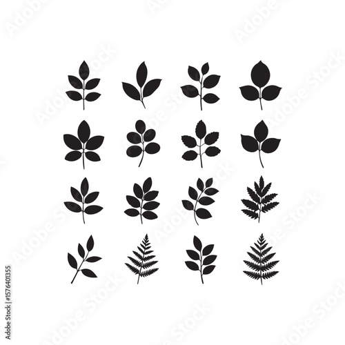 Collection of diverse black leaf silhouettes and fern fronds isolated on a clean white background