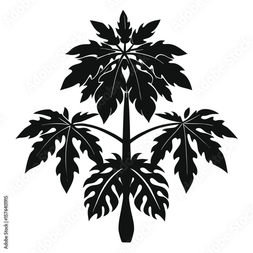 Black silhouette of a stylized papaya tree with large lobed leaves white