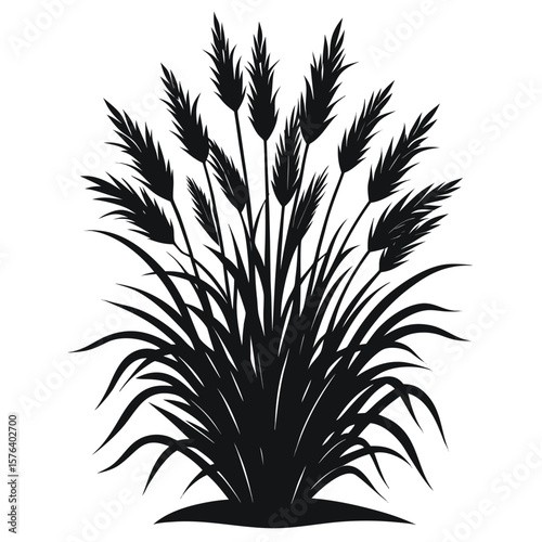 Black silhouette of feathery grass plumes and blades vector