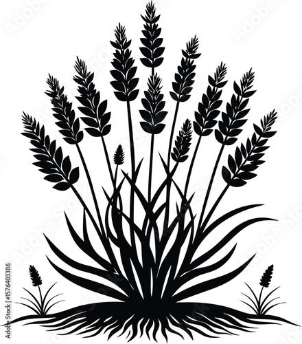 Black silhouette of wheat stalks and grass blades vector