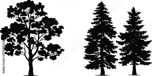Silhouette Tree and Forest Illustrations Set - Black Tree Designs,Tree silhouette vector,vector silhouette trees Icon set,set of trees silhouettes,African trees as black silhouettes,ai
