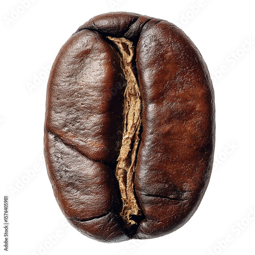 Roasted coffee bean showing rich texture on transparent background