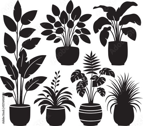 Diverse potted plants with varied leaf shapes and sizes houseplants foliage