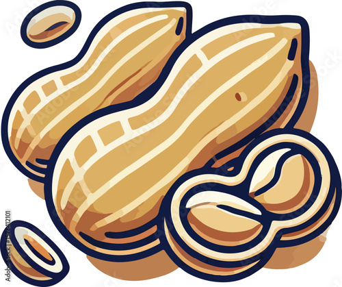 Stylized illustration of fresh peanuts showing shells and kernels on a white background