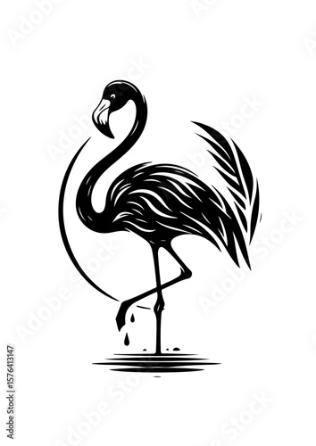 Graceful flamingo standing on one leg isolated on white background