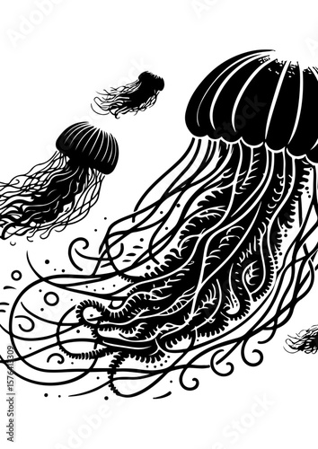 A black and white drawing of jellyfish floating in the sea