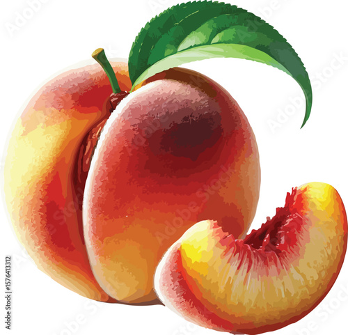 Watercolor illustration of a ripe peach fruit with a slice and vibrant green leaf
