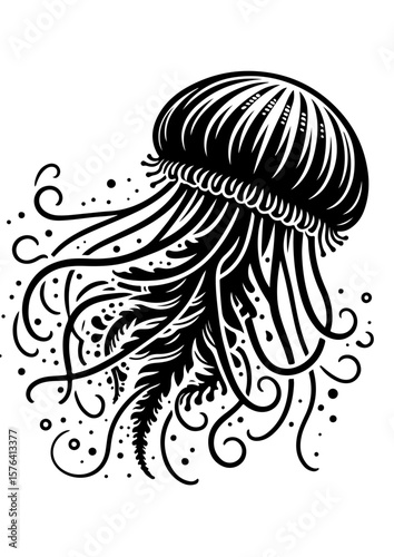 A black and white jellyfish with long tentacles isolated on white background