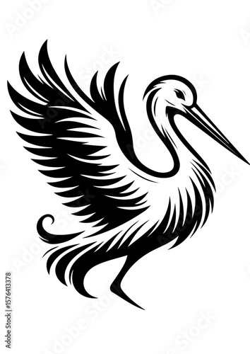 A black and white pelican with outstretched wings isolated on white background