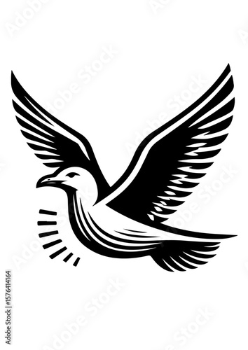 A seagull soars through the air with its wings spread wide isolated on white background