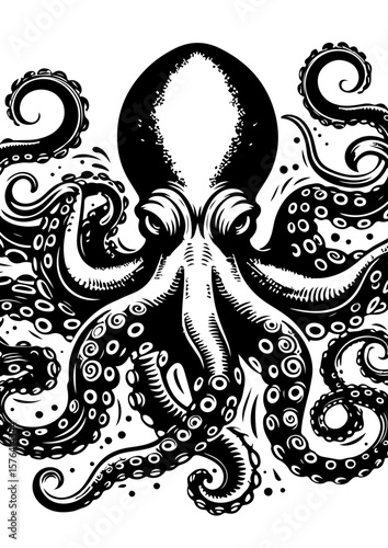 A black and white octopus illustration isolated on white background