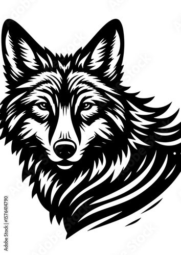 Wolf portrait, isolated on white background