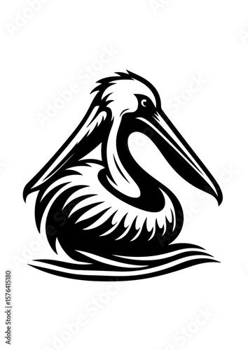 A pelican is swimming in water, isolated on white background