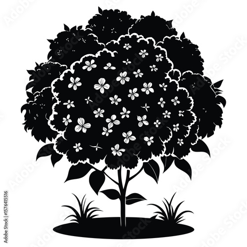 Silhouette of a flowering bush with leaves and grass plant floral