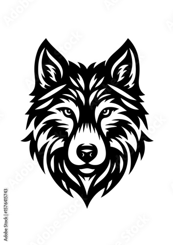 A fierce wolf stares intensely with piercing eyes, isolated on white background
