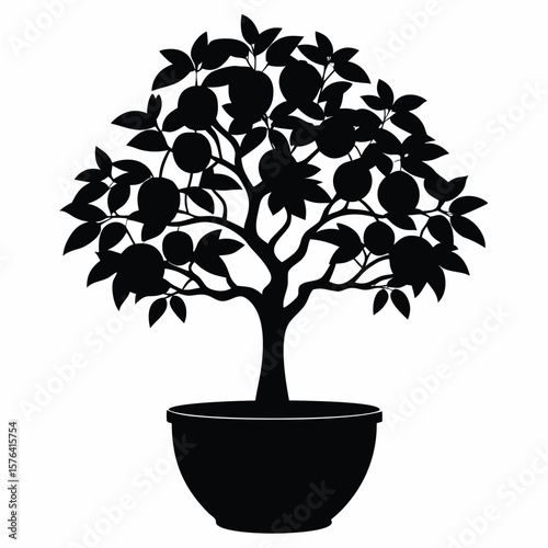 Silhouette of a fruit bearing tree in a pot leaves branches