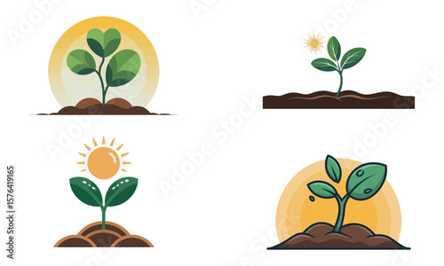 Plant growth stages illustration with young seedlings sprouting in sunlight
