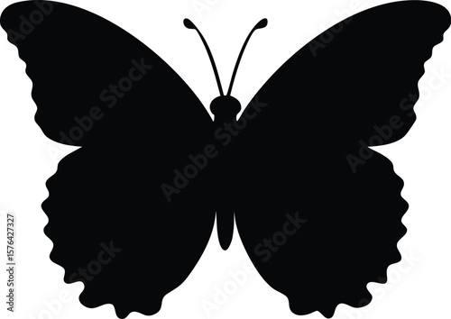 vector illustration of a black butterfly