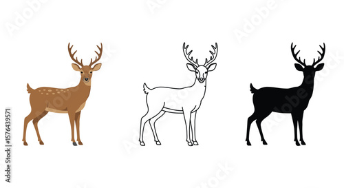 Deer illustration set with color outline and silhouette variations on white