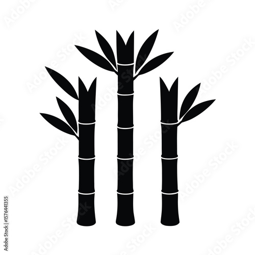 Three bamboo stalks with leaves botanical design silhouette vector illustration