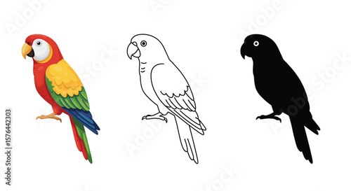 Parrot Illustration Set Color Outline and Silhouette on White Background