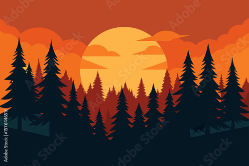 northern sunrise casting long shadows on forest