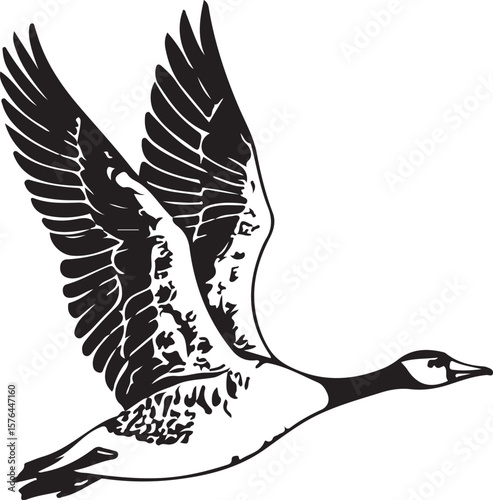 Goose Vector Illustration, Sketch Drawing Line Linear Symbol Icon Engraving Coloring Book, Hand-drawn Black and White Isolated