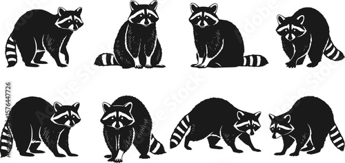 vector set of Animal raccoon icon isolated on white background.
