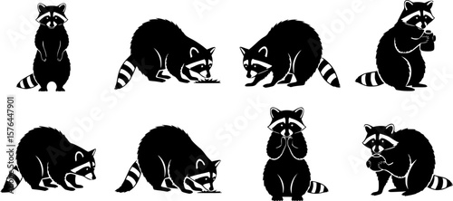 vector set of Animal raccoon icon isolated on white background.
