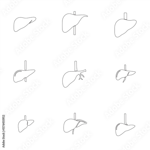 set of vector liver line art bundle pack collection 
