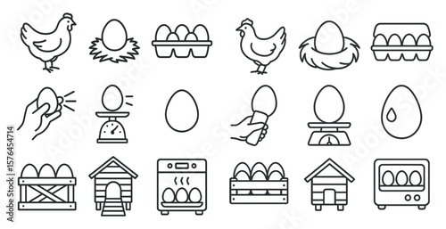 Set of images of eggs and chicken. The images include a hand holding an egg, a scale, a chicken laying an egg, and a chicken sitting on an egg. The images convey the idea of eggs and chickens