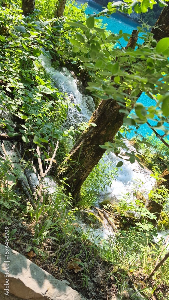 Fototapeta premium plitvice lakes national park croatia